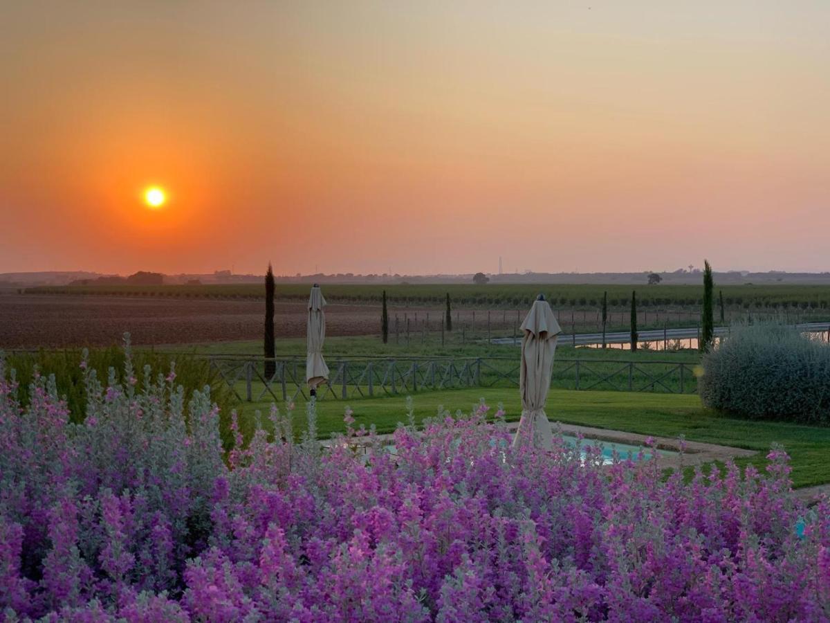 Agriturismo Piani Della Marina Montalto di Castro Exterior photo