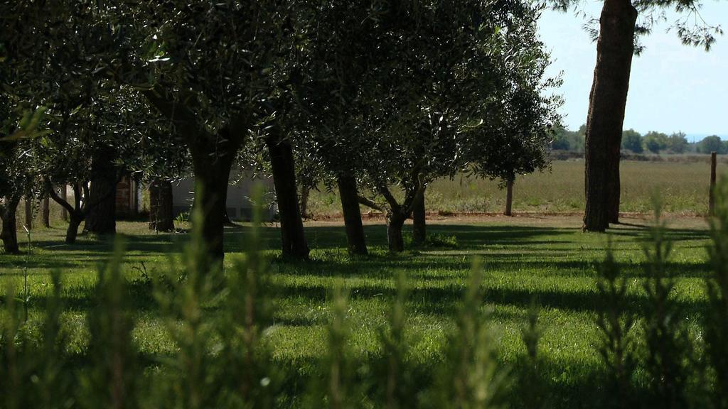 Agriturismo Piani Della Marina Montalto di Castro Exterior photo